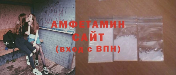 мет Алексин