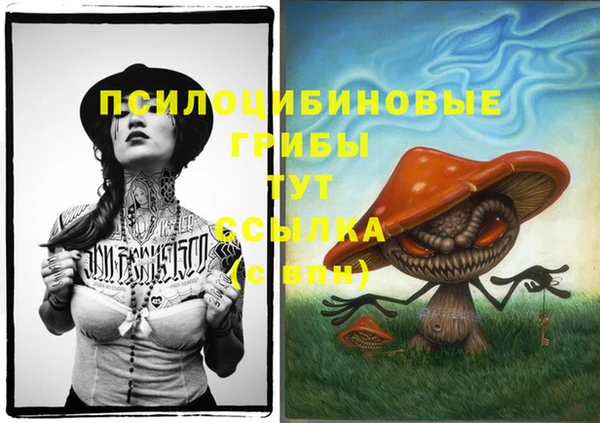 тгк Абдулино