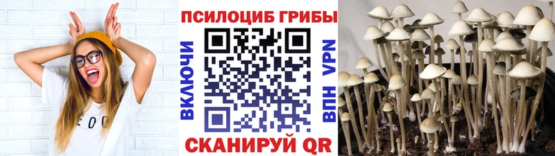 Галлюциногенные грибы MAGIC MUSHROOMS  Питкяранта 
