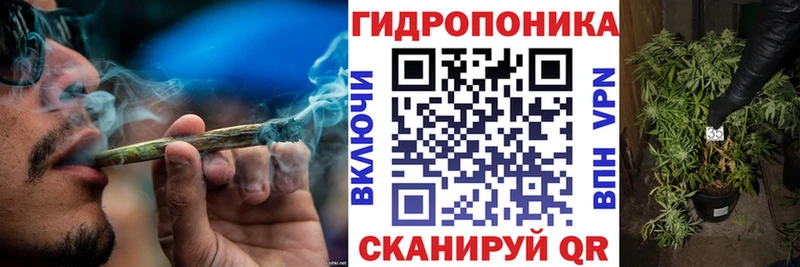 Шишки марихуана White Widow  kraken ONION  Питкяранта 